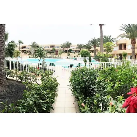 Poolside Paradise Apartment On A Beautiful Complex Corralejo